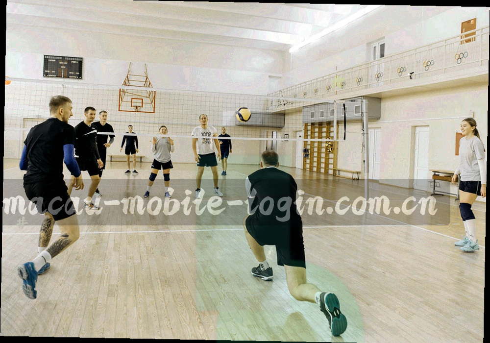 邮件撰写界面局部放大，正文区清晰可见版本号与终端类型字段